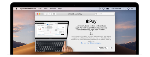 Apple Pay mit Visa Karten